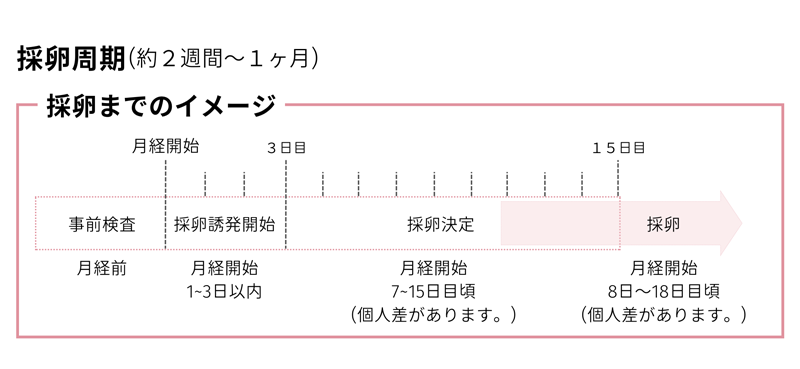 卵子凍結の流れ